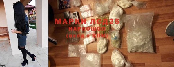 индика Абаза