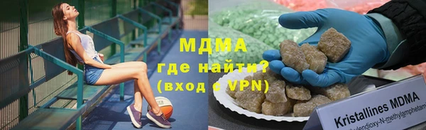 индика Абаза