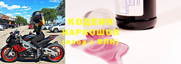 прущие грибы Абдулино