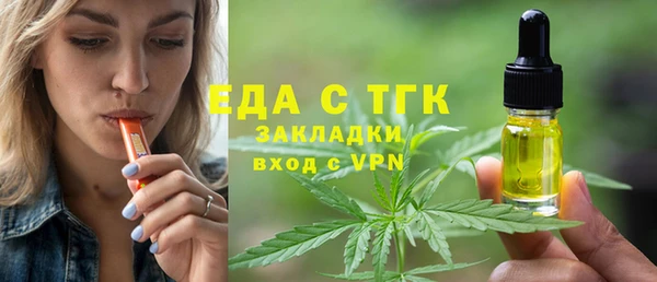 индика Абаза