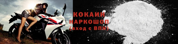 прущие грибы Абдулино