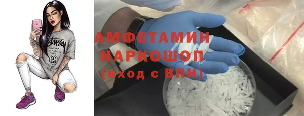 индика Абаза