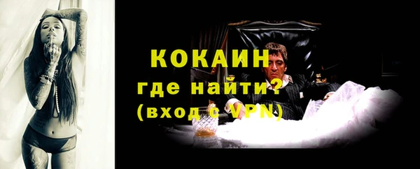 прущие грибы Абдулино