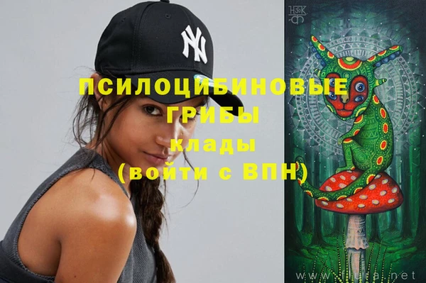 индика Абаза