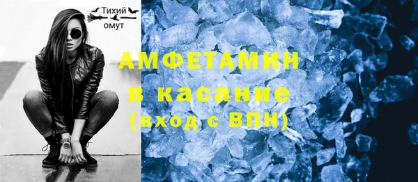 индика Абаза